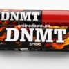 DNMT
